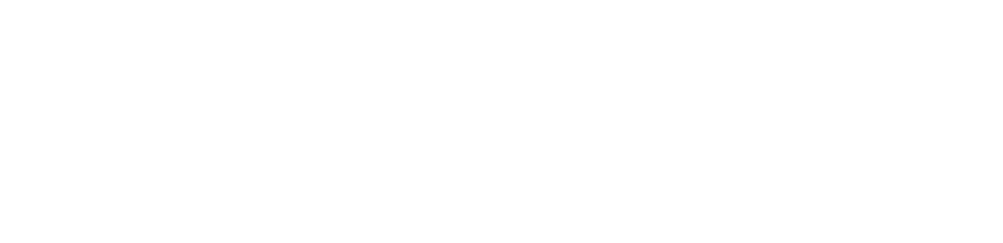 VisRec Logo